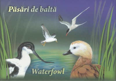 |Romania, LP 2076/2015, Pasari de balta, maxime in etui foto