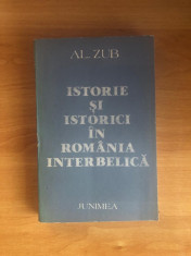 Al. Zub - Istorie si istorici in Romania interbelica foto