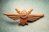 Insigna pilot militar Romania 1968 RSR clasa 1