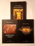 Mircea Brăilița - Zdrențele sfielii (poeme) + Poezii arse de vii (epilog Șerban Foarță) + Vals &icirc;n &icirc;ntuneric (2014)