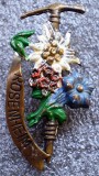 I.545 INSIGNA VECHE GERMANIA TURISM DRUMETIE FLOARE DE COLT PIOLET ROSENHEIM
