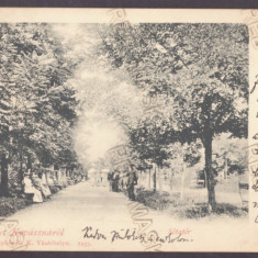 5307 - COVASNA, Park, Litho, Romania - old postcard - used - 1900