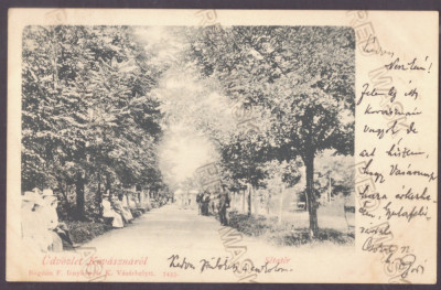 5307 - COVASNA, Park, Litho, Romania - old postcard - used - 1900 foto