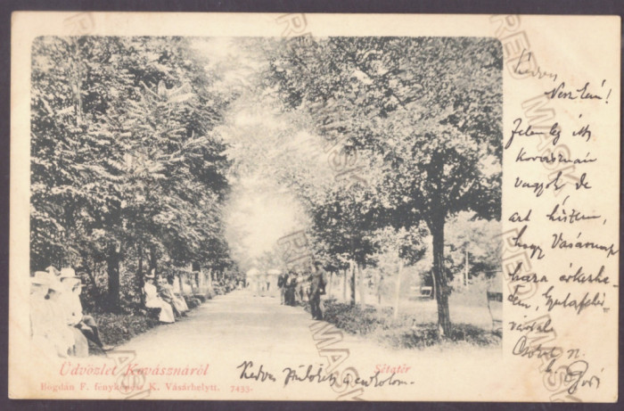 5307 - COVASNA, Park, Litho, Romania - old postcard - used - 1900