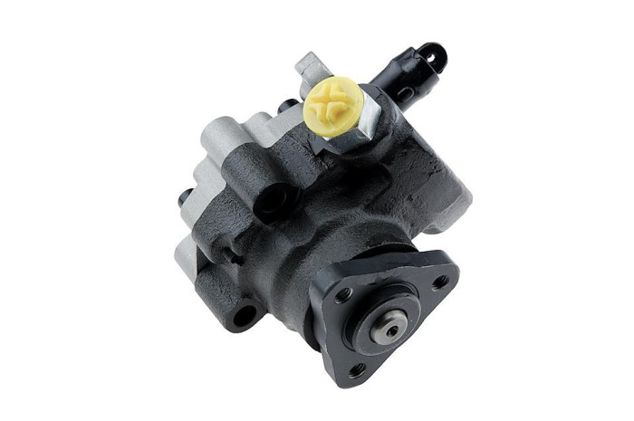 Pompa servodirectie Land Rover Discovery 4.0 1998-2004, NTY SPW-LR-012