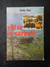 RADU REY - VIITOR IN CARPATI foto