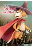 Cumpara ieftin Ce ne invata Motanul incaltat