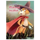 Ce ne invata Motanul incaltat