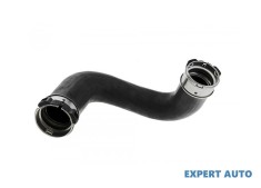 Furtun admisie Nissan Pathfinder III (2005-&gt;)[R51] #1