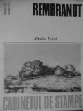 Rembrandt - Amelia Pavel ,520438, meridiane
