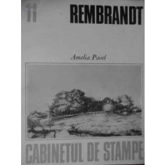 Rembrandt - Amelia Pavel ,520438