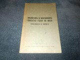 ORGANIZAREA SI DESFASURAREA EDUCATIEI FIZICE DE MASA REGULAMENTE SI INDICATII 1964