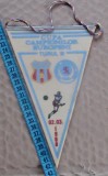 Fanion Steaua București - Glasgow Rangers