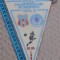 Fanion Steaua București - Glasgow Rangers