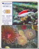 bnk card Cartela telefonica 2005 - Fauna marina 2 - RO-ROM-0289