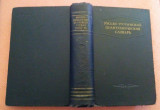 Dictionar Politehnic Ruso - Roman - B. A. Andrianov, L. E. Cotlear, M. H. Manole