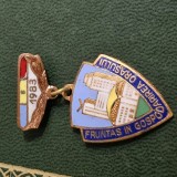 Insigna FRUNTAS IN GOSPODARIREA ORASULUI 1983