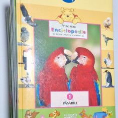 Disney - Prima mea enciclopedie cu Winnie ursuletul - 15 vol.