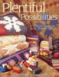Plentiful Possibilities. a Timeless Treasury of 16 Terrific Quilts - Print on Demand Edition