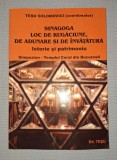 Sinagoga: Loc de Rugaciune, Adunare si Invatatura - Tesu Solomovici. Carte Iudaism