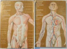 HUMAN ANATOMY , VOL I-II , by M.PRIVES, N. LYSENKOV , V. BUSHKOVICH 1985