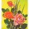 CPIB 18511 FELICITARE - TRANDAFIRI ROZ, URSS, 1990