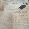 R Der Berater Cernăuți 1938