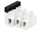 Regletă de Conexiuni cu Şurub 2,5mm2 450V 3 Piste