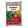 &Icirc;ngrășăm&acirc;nt NPK 8+8+8, 10kg, Universal, Granulat