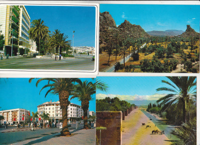 bnk cp Lot 27 carti postale Maroc - necirculate foto