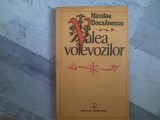 Valea voievozilor de Nicolae Docsanescu