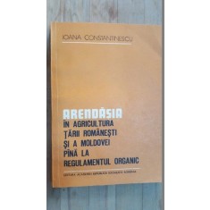 Arendasia in agricultura Tarii Romanesti si a Moldovei pana la regulamentul organic- Ioana Constantinescu