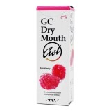 Gel pentru gura uscata cu aroma de zmeura Dry Mouth, 35 ml, GC Dental
