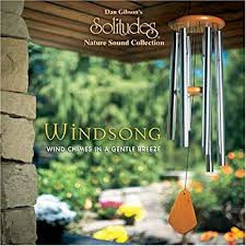 Windsong by Dan Gibson (CD, Jun-2008, Solitudes) foto