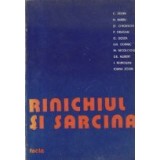 Rinichiul si sarcina