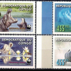 DR CONGO 2006 WWF FAUNA PROTEJATA HIPOPOTAMI