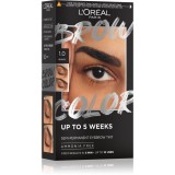L&rsquo;Or&eacute;al Paris Brow Color culoare pentru sprancene culoare 1.0 Black 1 buc