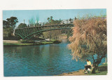 AU1 - Carte Postala-AUSTRALIA- University bridge, Adelaide , necirculata, Fotografie