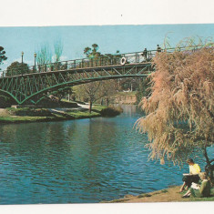 AU1 - Carte Postala-AUSTRALIA- University bridge, Adelaide , necirculata