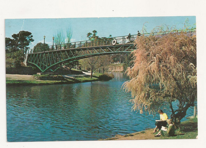 AU1 - Carte Postala-AUSTRALIA- University bridge, Adelaide , necirculata