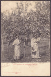 -3256 - VALSANESTI, Arges, Ethnic women, Port Popular - old postcard - unused, Necirculata, Printata