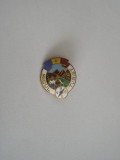 QW9 J 86 - Insigna - tematica pionieri - Micul turist, Romania de la 1950