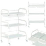 Asistent cosmetic pentru coafor ST029 dulap universal cărucior masă pe roți cu trei rafturi