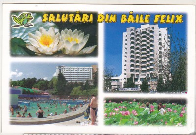 bnk cp Baile Felix - Vedere - necirculata foto