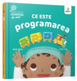 Cumpara ieftin Ce este programarea