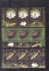 ROMANIA 2008 - REZERVATIA PARAUL PETEA - STRAIF 3 SERII CU TABS - LP 1822, Fauna, Nestampilat