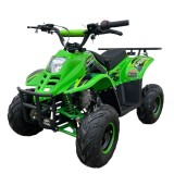 Cumpara ieftin Atv copii 110cc Ranger 6&amp;quot; automat 4T benzina Verde