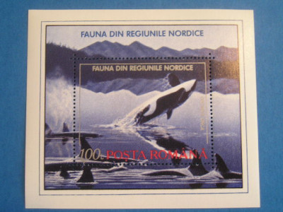 M1 TX8 2 - 1992 - Fauna din regiunile nordice - colita dantelata foto