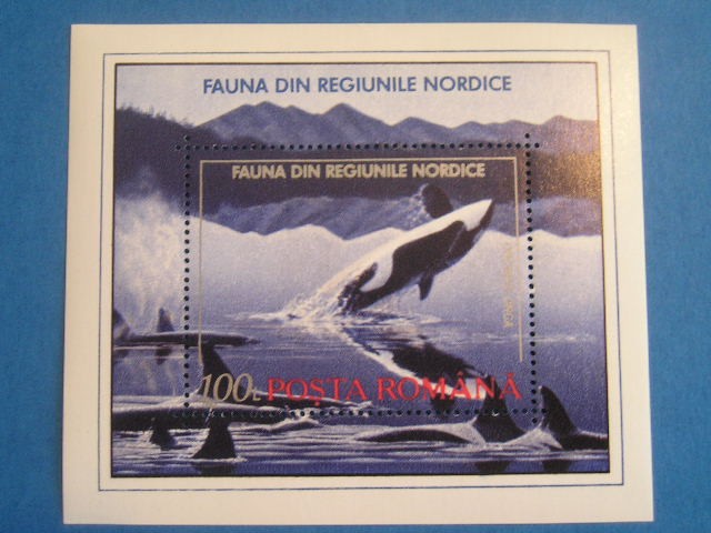 M1 TX8 2 - 1992 - Fauna din regiunile nordice - colita dantelata