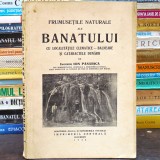Frumusețile Naturale ale Banatului, Localitățile Climatice-Balneare și Cataractele Dunării, Monografie Ion Păsărică 1936 - Banat, Caraș-Severin, Timiș